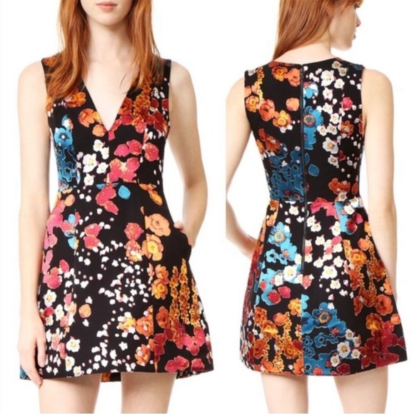 Alice + Olivia Dresses & Skirts - Alice + Olivia Patty Print V Neck Lantern Dress Floral Field Burnout size 6